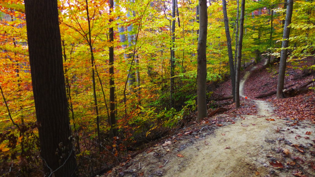The park’s trails are maintained by TRAILS FOREVER