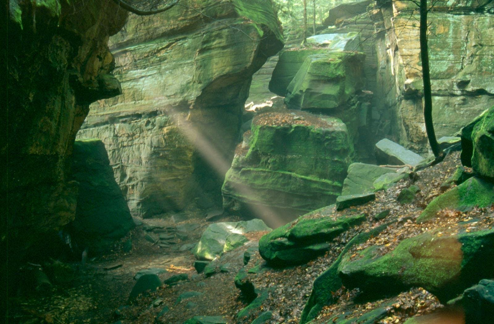 Junior Ranger: Ledges Rock Hunt | Conservancy for Cuyahoga ...