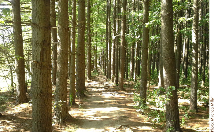 Buckeye Trail: Boston To Pine Lane | Conservancy for ...