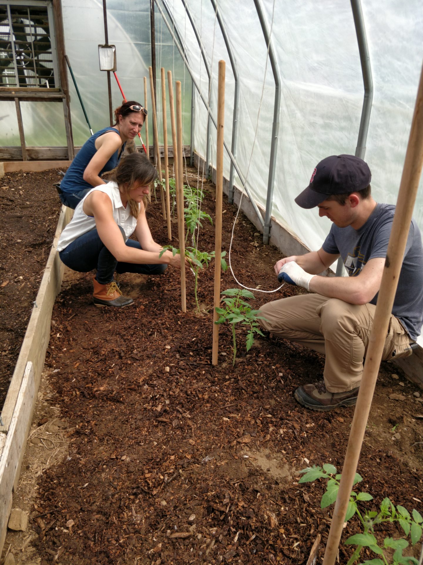 Beginning farmer program at Countryside