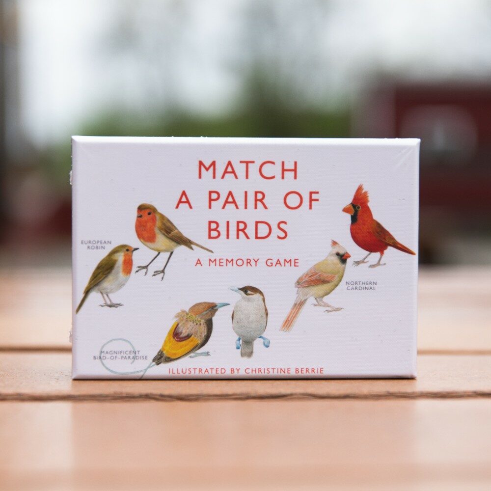 Match a Pair of Birds Memory Game