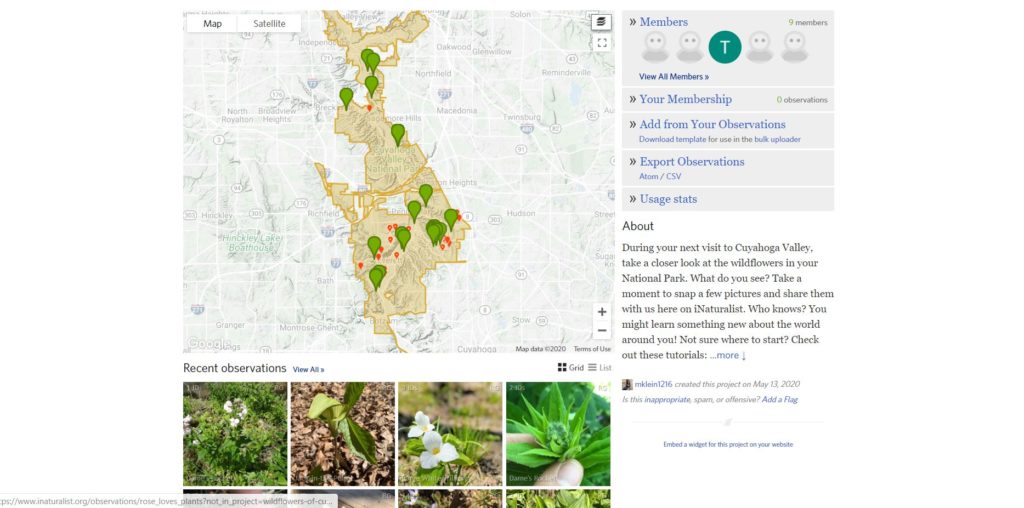 This part of the "Wildflowers of Cuyahoga Valley National Park" webpage shows a map of the park where red and green pins represent all of the observations found so far. There is also a grid of images titled "Recent observations," showing what wildflowers hikers have found so far.
