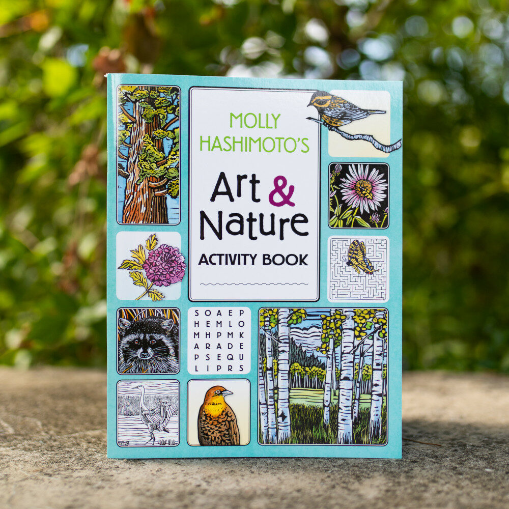 Molly Hashimoto's Art & Nature Activity Book