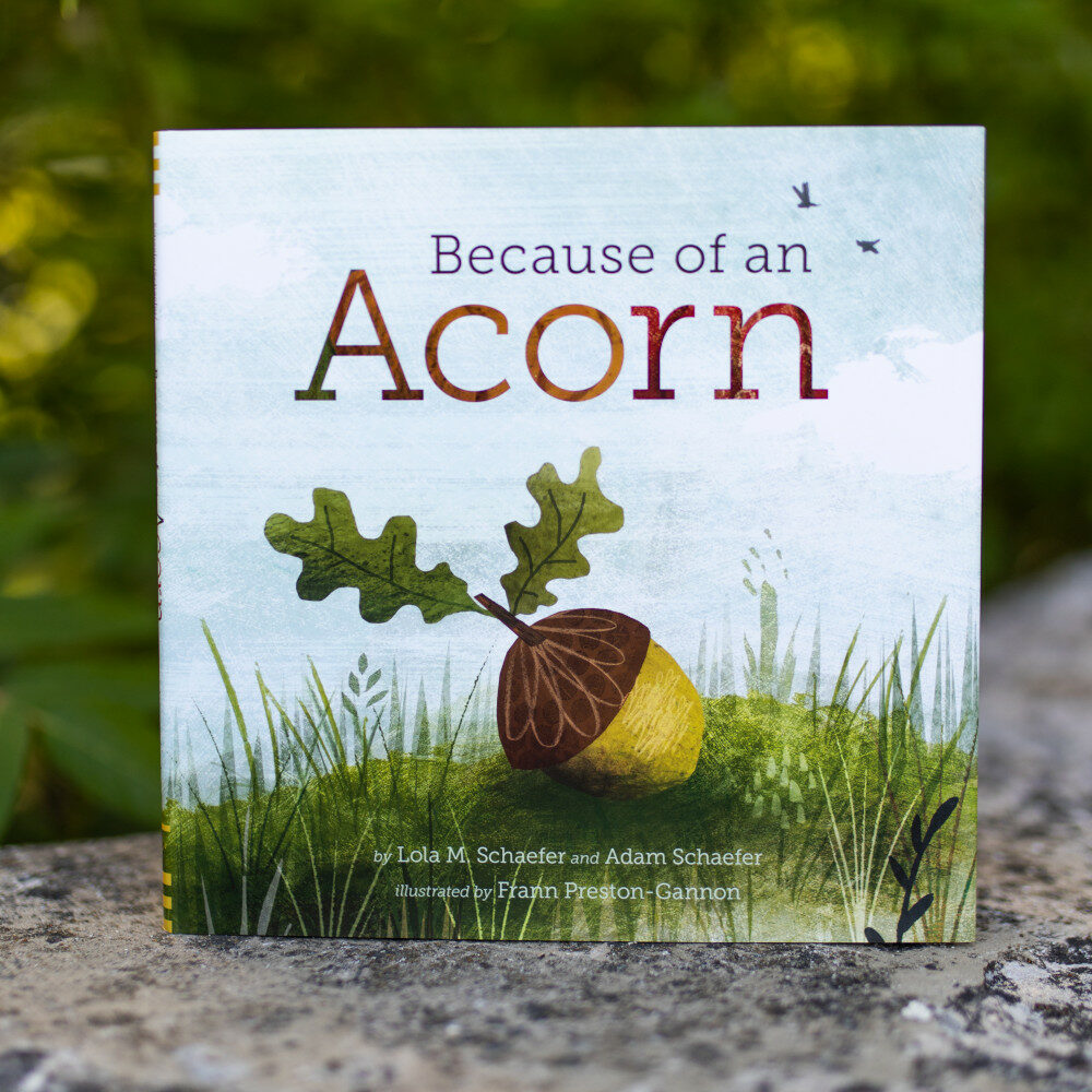 Because of an Acorn