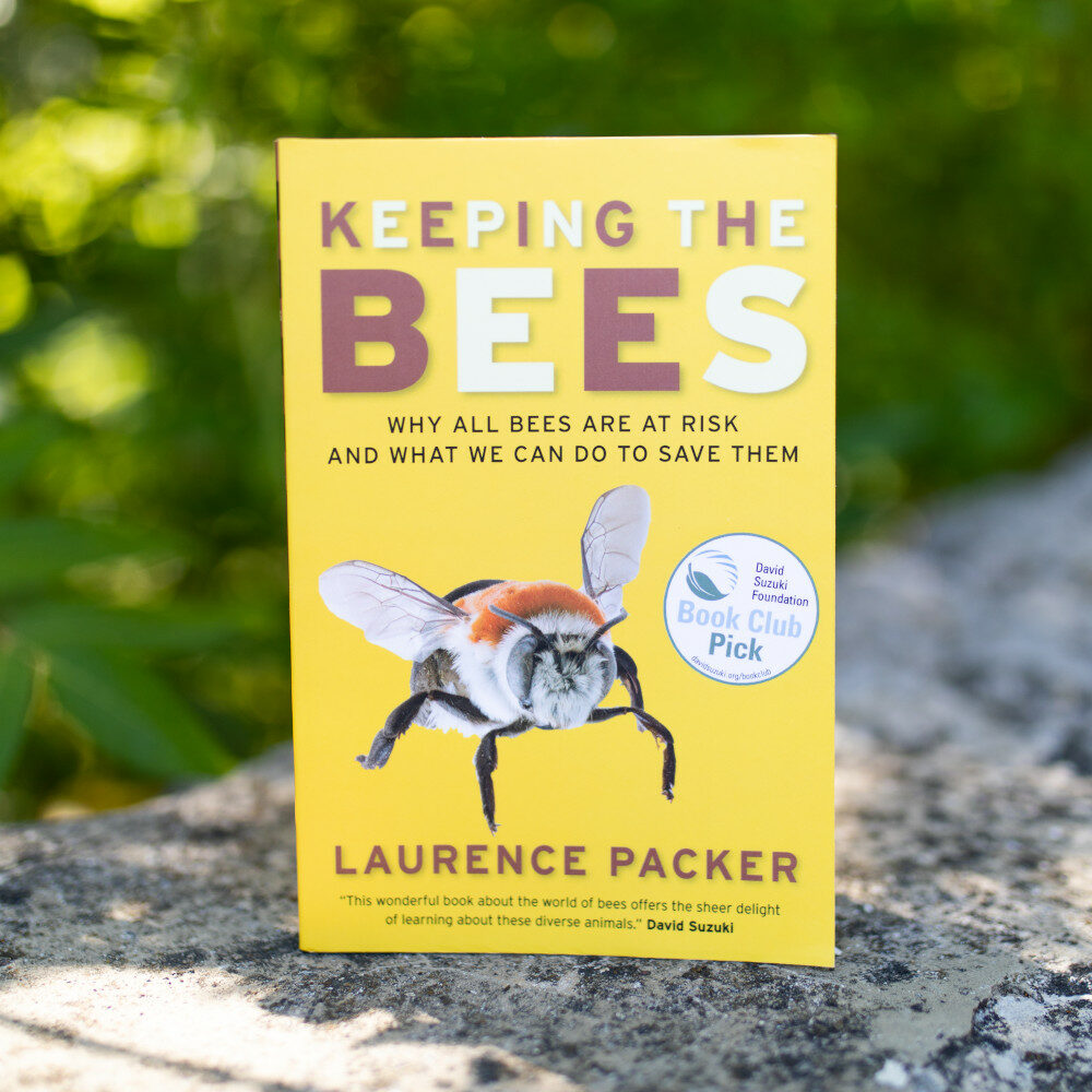 Keeping The Bees: Why All Bees Are at Risk and What We Can Do to Save Them