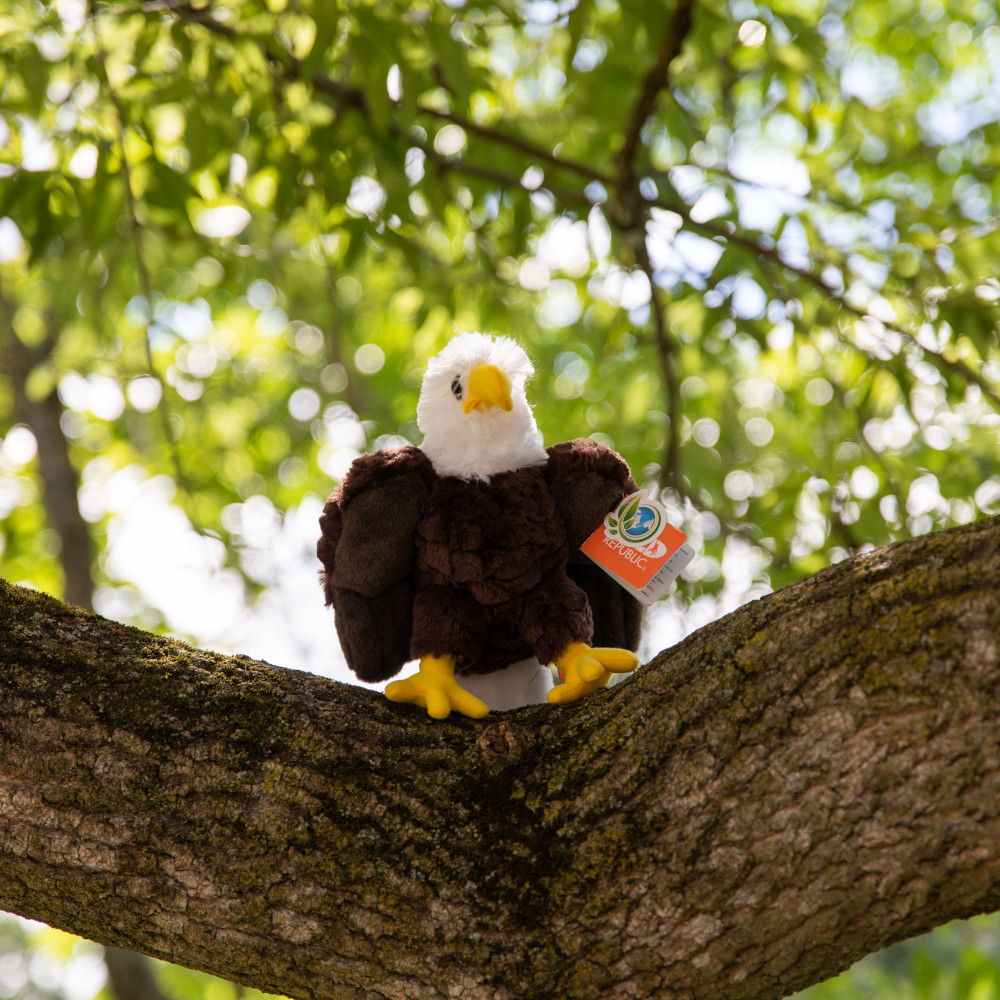 wild republic eagle