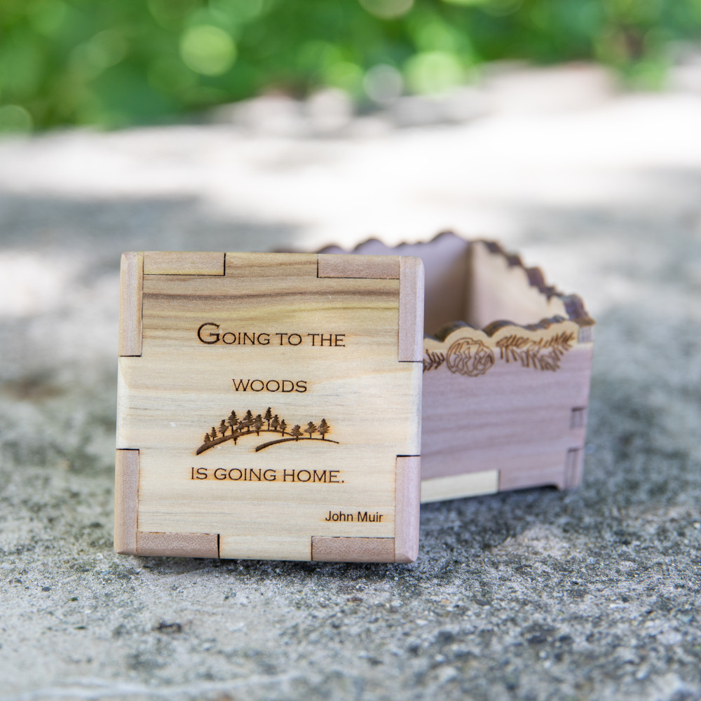 WYTM Quote Box: "Going to the woods..."