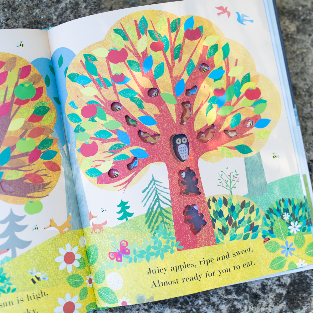 Tree: A Peek-Through Picture Book – Conservancy for Cuyahoga Valley ...