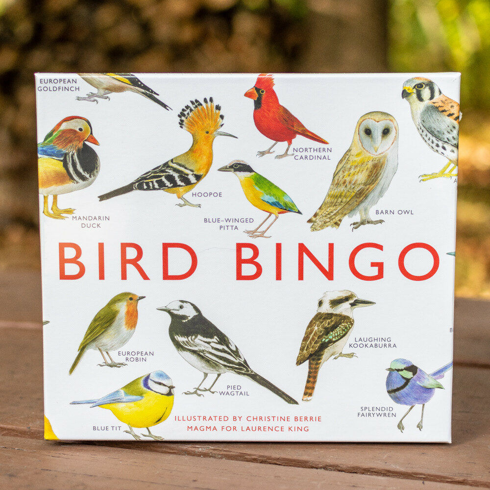 Bird Bingo