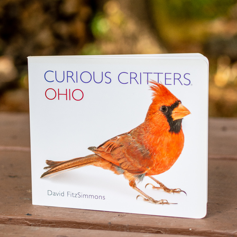Curious Critters Ohio