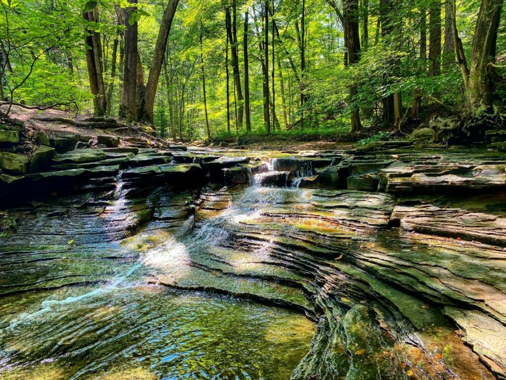 Rock landscape surrounded by green leaves and trees