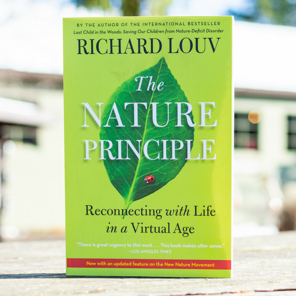 The Nature Principle