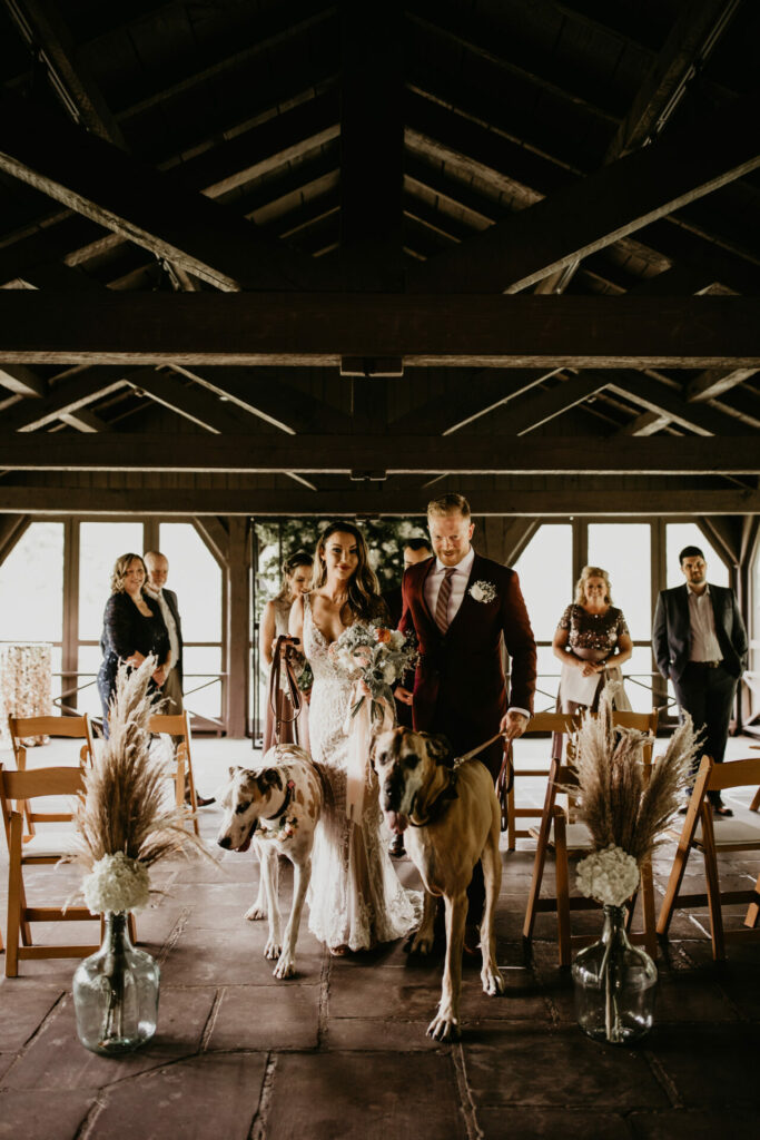 Couple walks up aisle of their wedding ceremony escorted by their two great danes