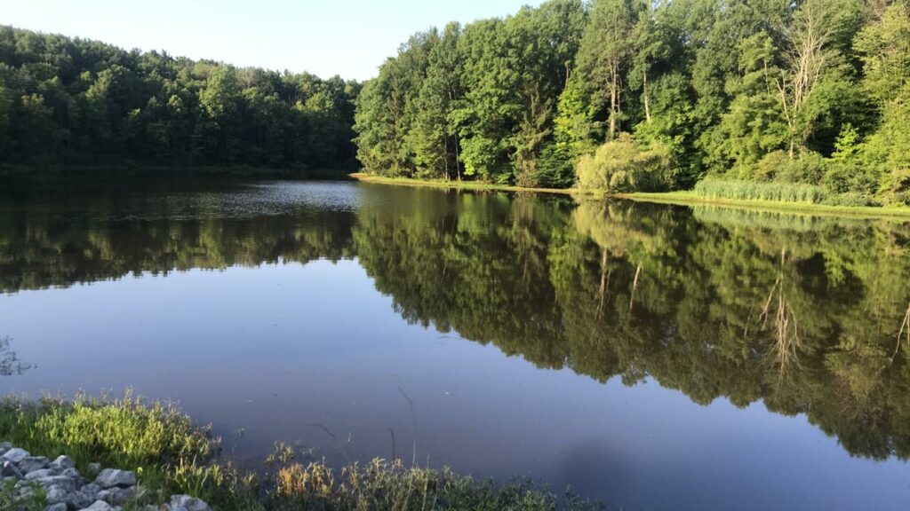 Photo of a pond in spring