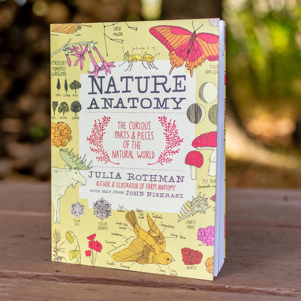 Nature Anatomy: The Curious Parts and Pieces of the Natural World