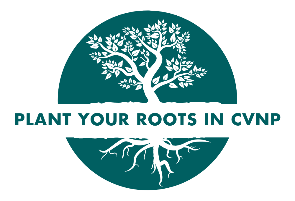 Plant Your Roots
