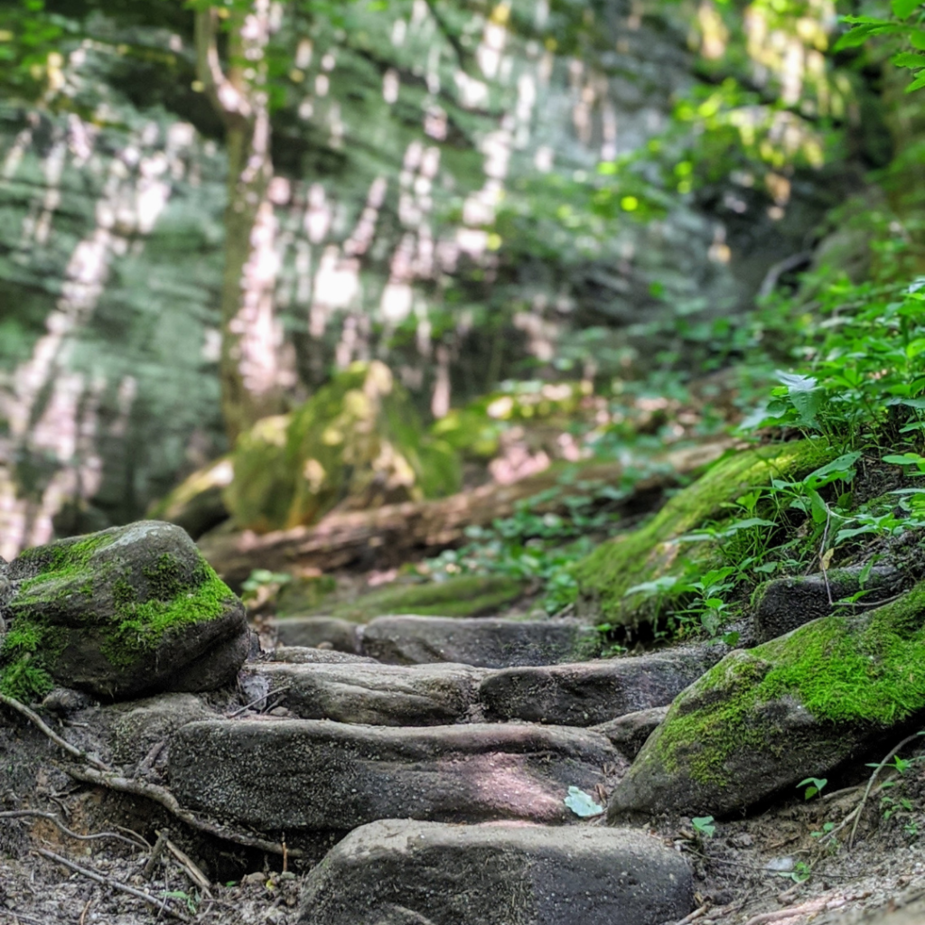 Close up of rock steps on Ledges trail