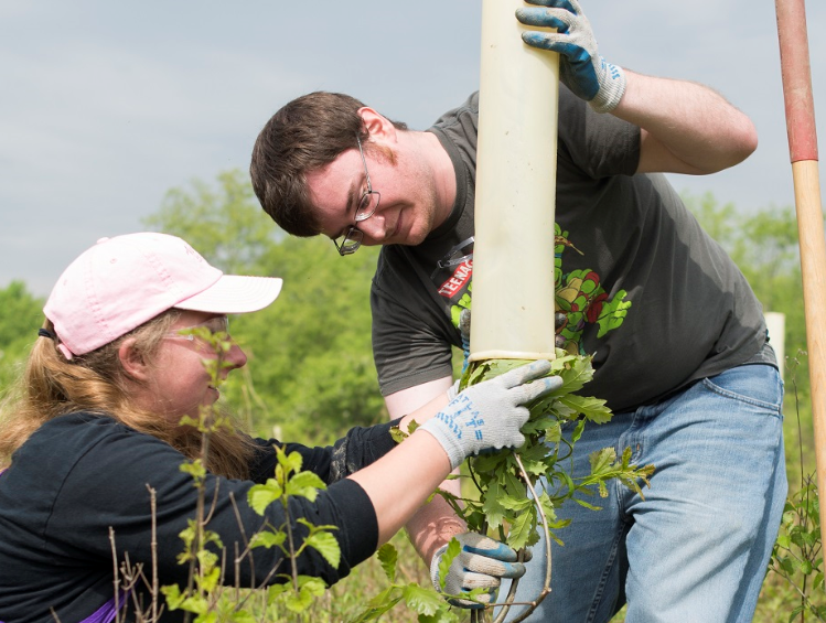 Volunteers Planting Trees