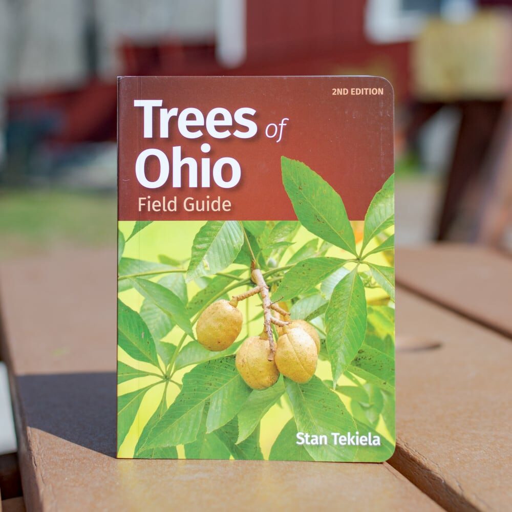 Trees of Ohio Field Guide