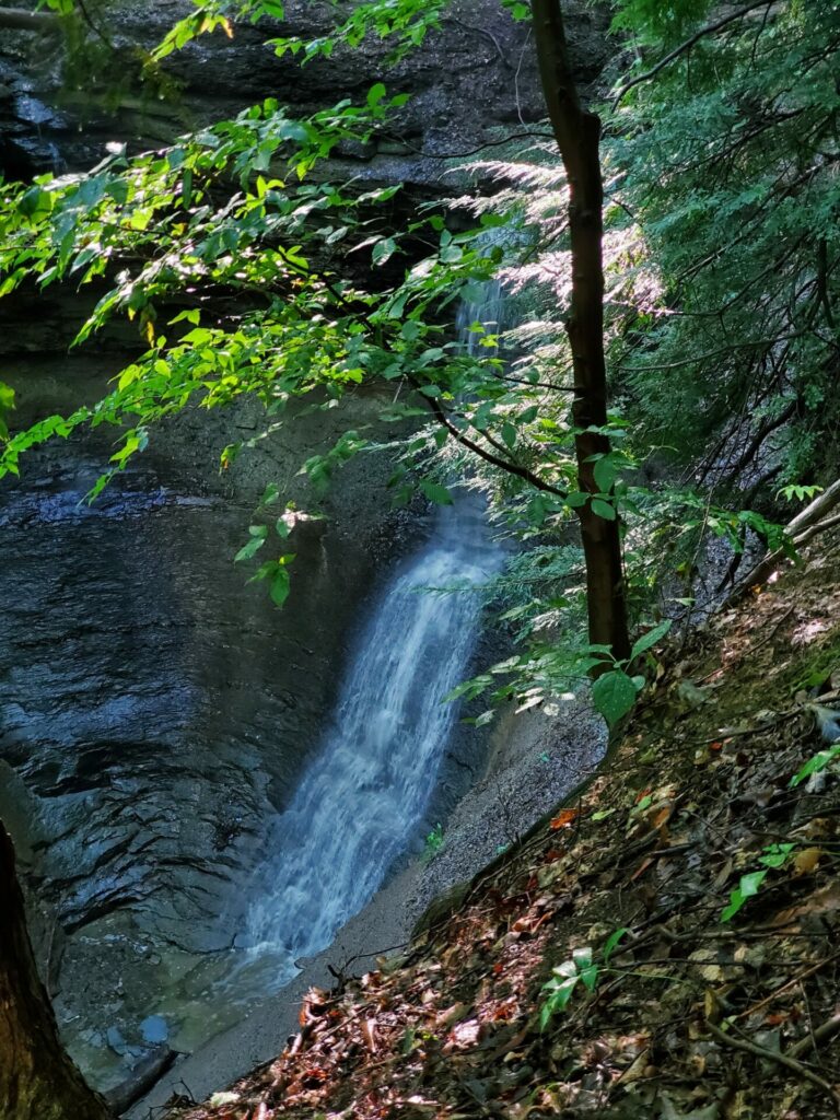 Photo of Alexander Falls