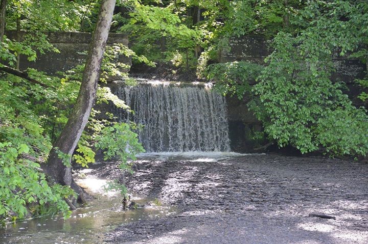 Mudcatcher falls in spring or summer