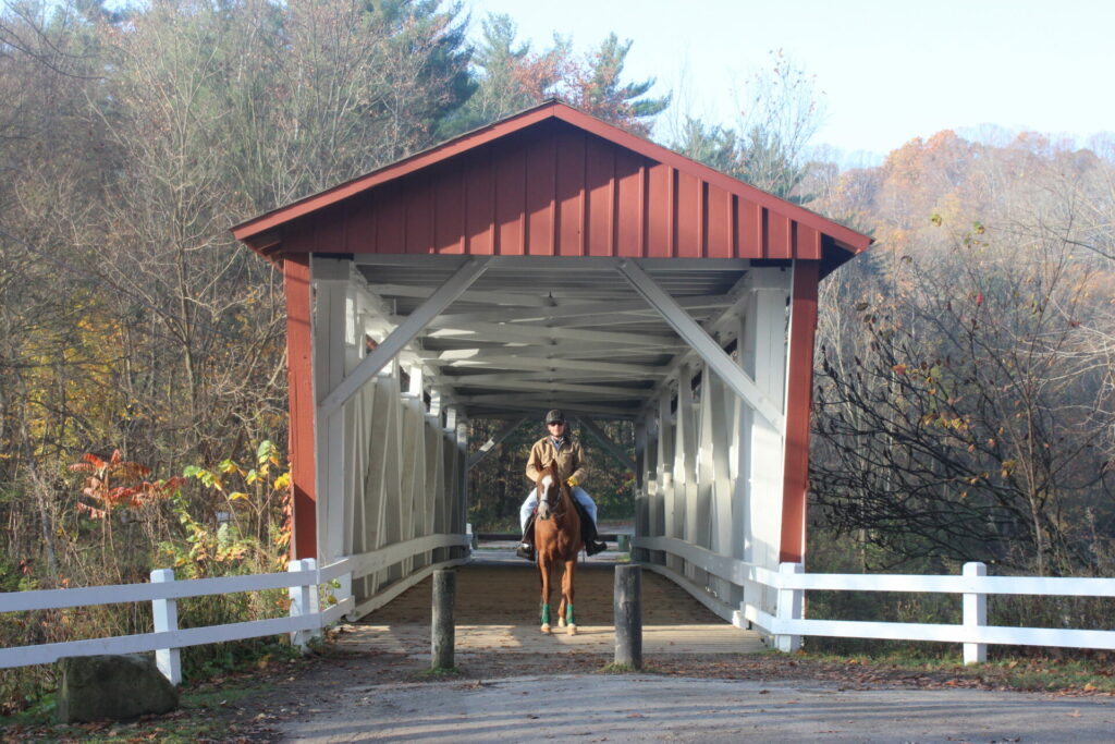 Horse stops near entrance of covered bridge