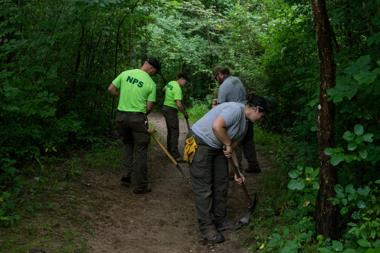 Bridle Trail Work