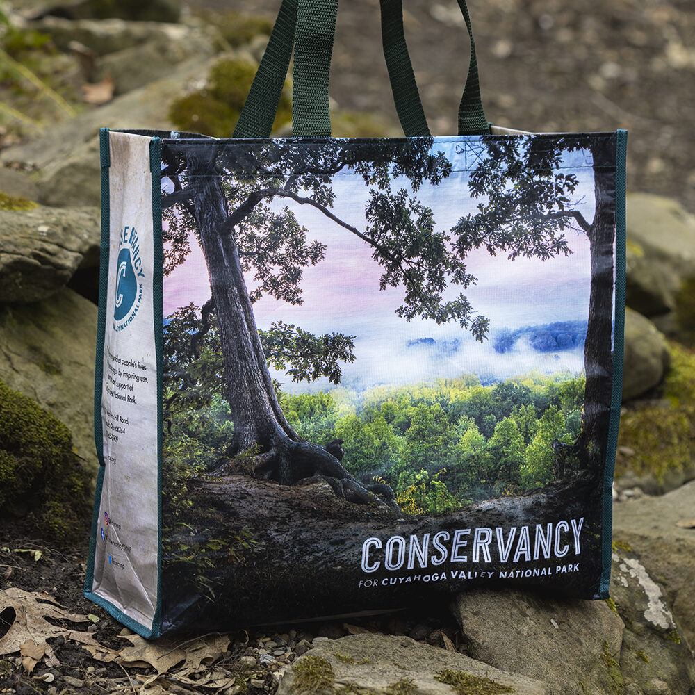 CVNP tote bag