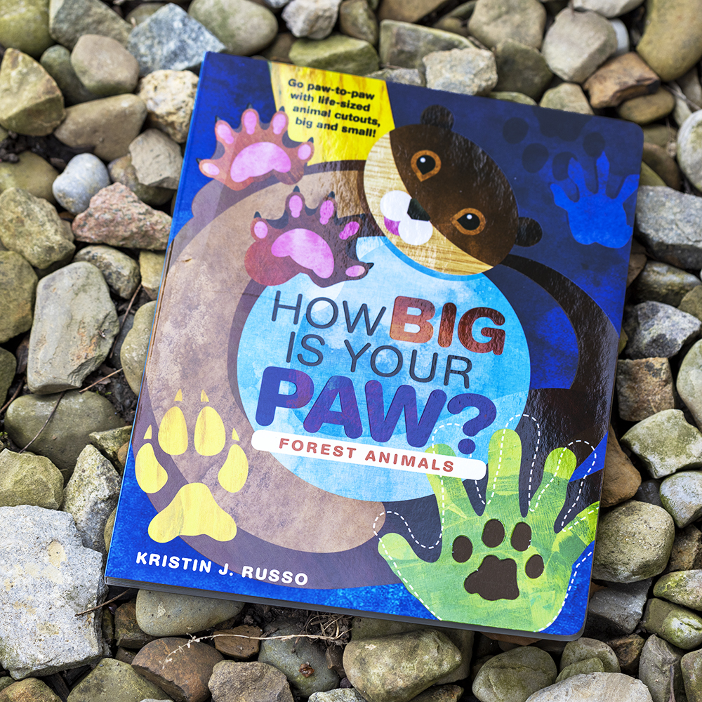 How big is your paw book cover