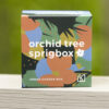 Orchid Tree Sprigbox