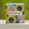 Sunflower Sprigbox