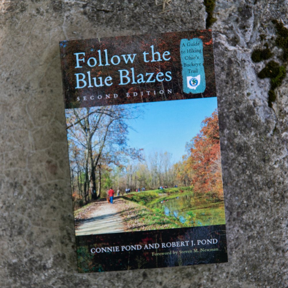 Blue Blazes Book