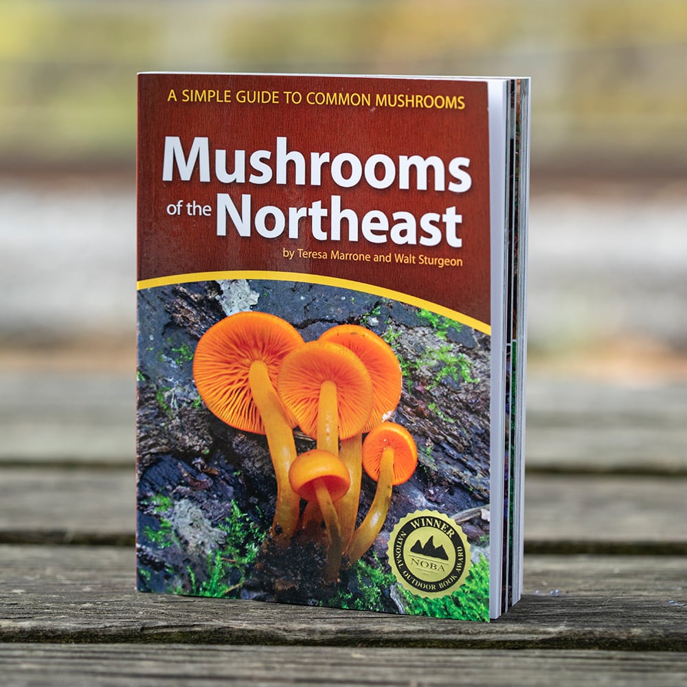 Mushroom Book