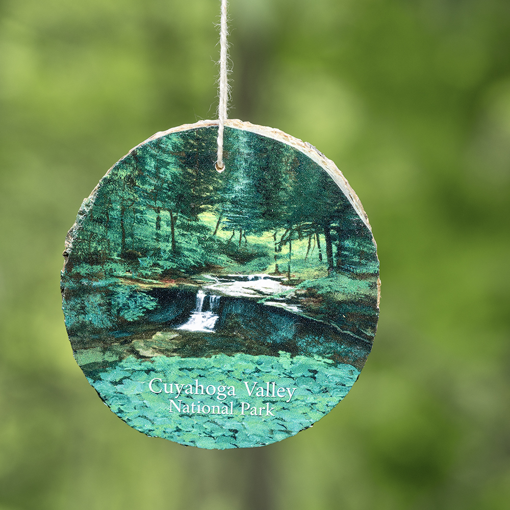 cvnp ornament