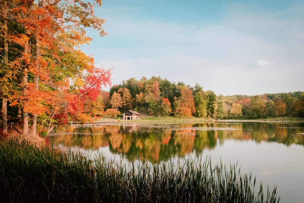 The image is a photograph of Kendall Lake in Cuyahoga Valley National Park. The photo shows a still lake, tall grass in the foreground, and trees with vibrant fall foliage in the background. The leaves are shades of orange, red, yellow, and green. 