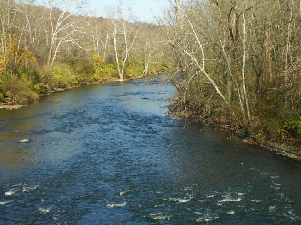 Rocks within the Cuyahoga River create the illusion of whitewater as the water rushes over them. The right and left banks of the river are lines with dense green and brown brush and leafless trees bend toward the water.