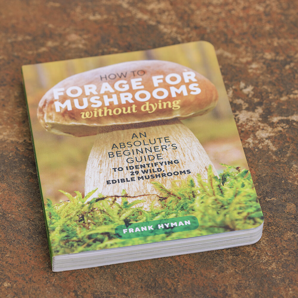 How To Forage For Mushrooms without Dying