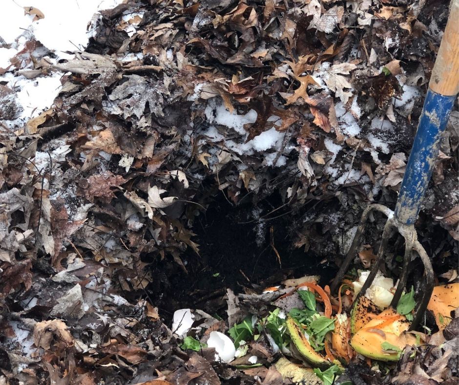 A pitchfork is standing in a compost pile. The tines of the pitchfork are piercing through leaves, compost, and food scraps such as cantaloupe rinds, carrot and onion peels, and eggshells. Snow is mixed in with the leaves covering the compost pile. 