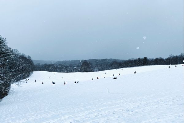 Dozens of sledding people dot two snow-covered hills. Snow covered evergreen trees and bare trees are in the background landscape.
