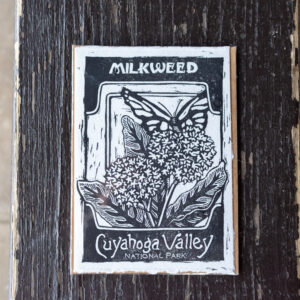 milkweed seed card