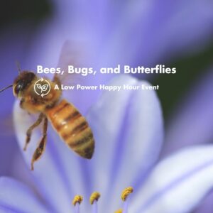 Purple flowers with a yellow and black bee on one petal. Centered text reads: Bees, bugs, and butterflies. A Low Power Happy Hour Event.