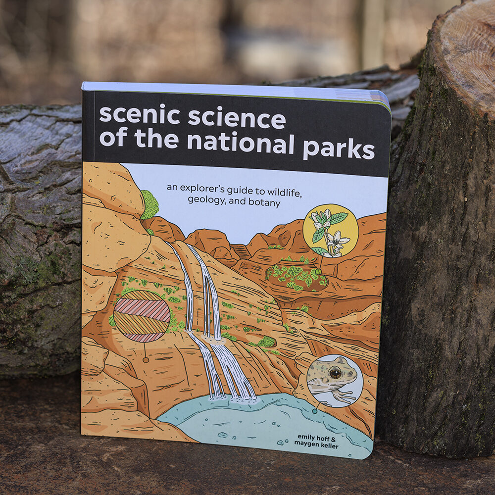 Scenic Science of the National Parks