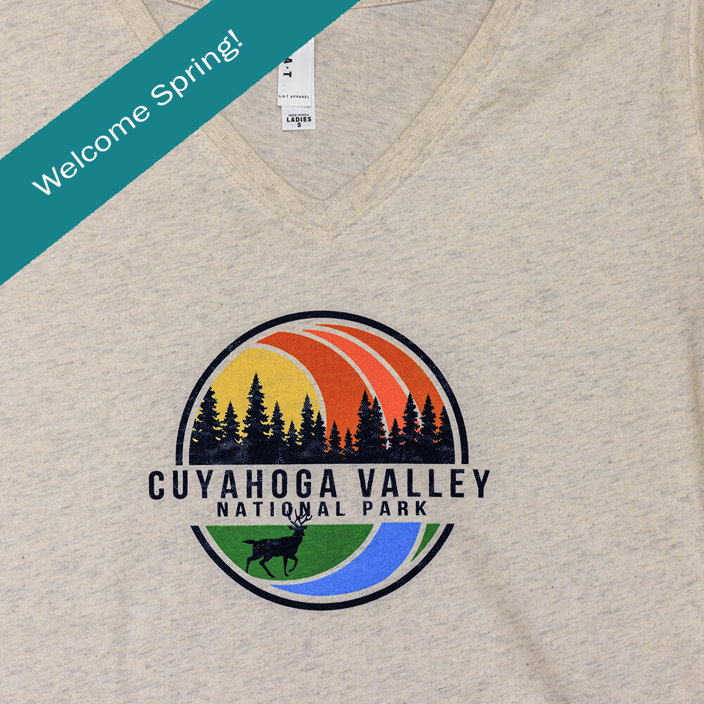 Ladies V-Neck Tee