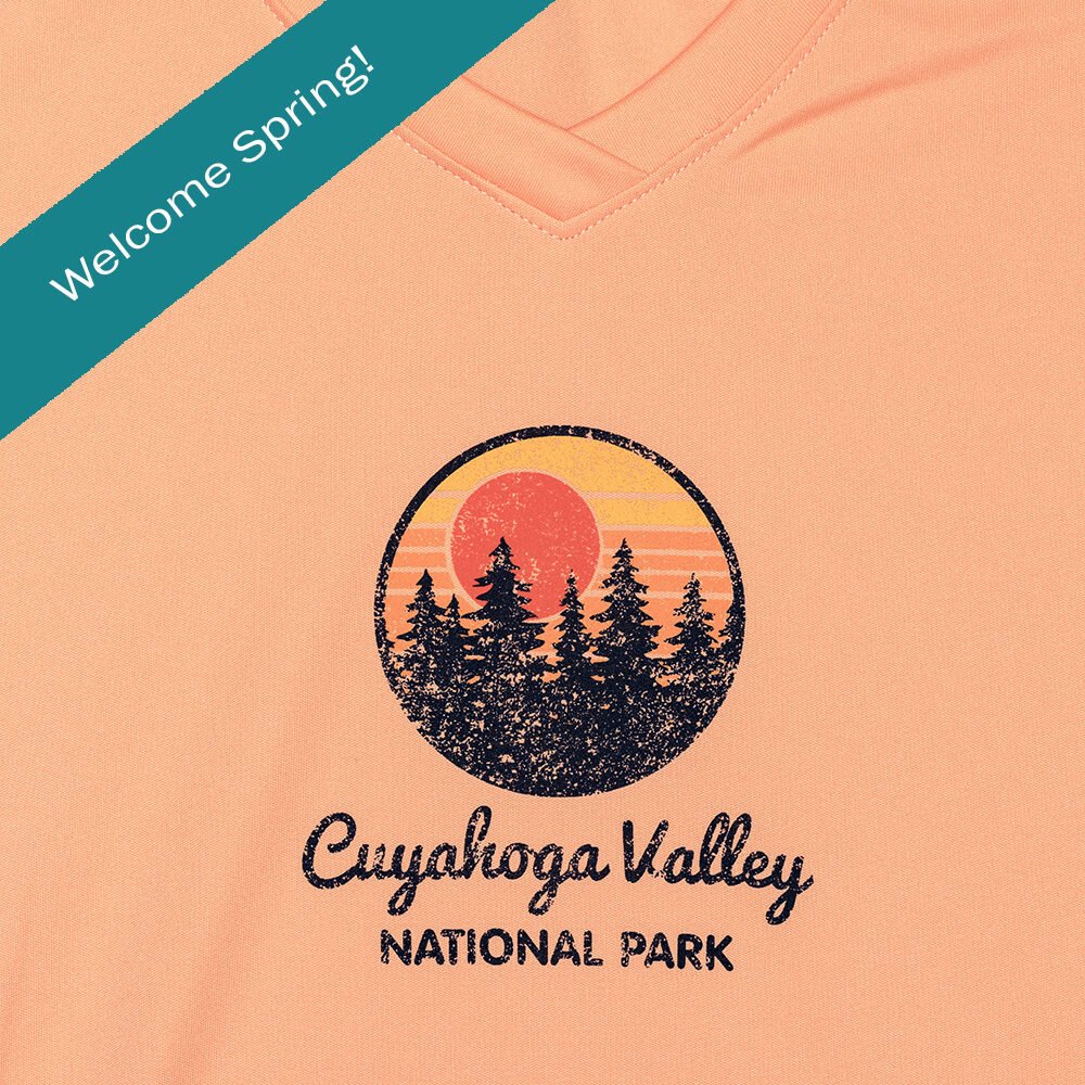 Ladies Performance V-Neck Tee