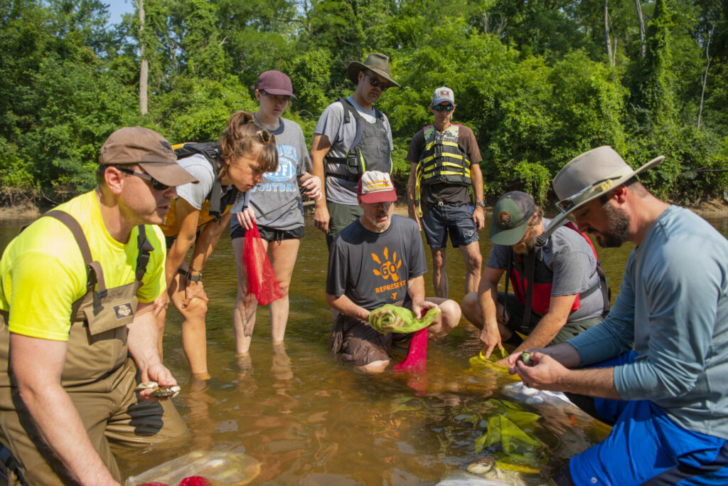 Team of Park scientists, volunteers and Army corps of engineers all help sort freshwater mussels to experiment if the Cuyahoga River could support living in the river.