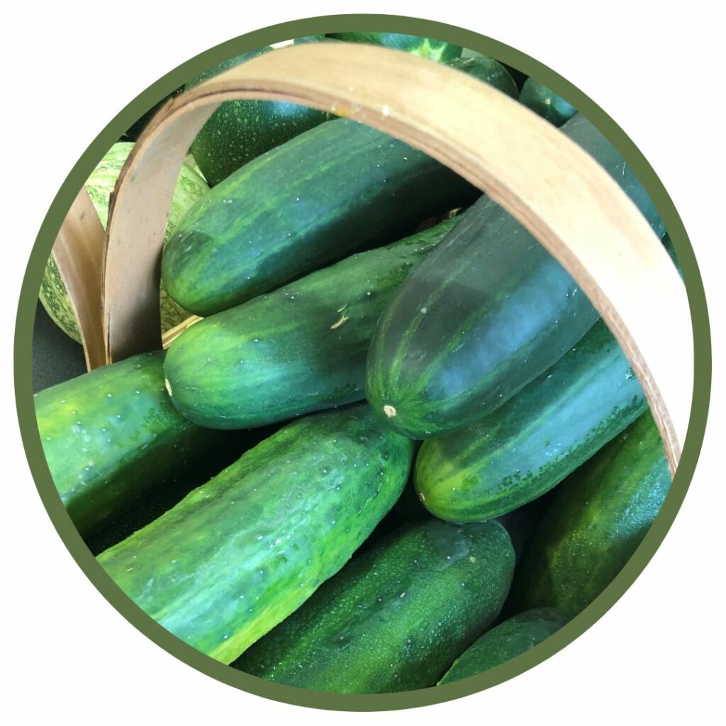 A circular photo of cucumbers in a basket.