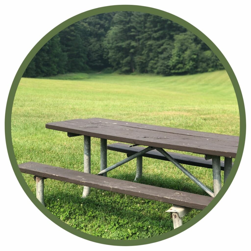 A photo of an empty picnic table in a grassy, hilly field. 