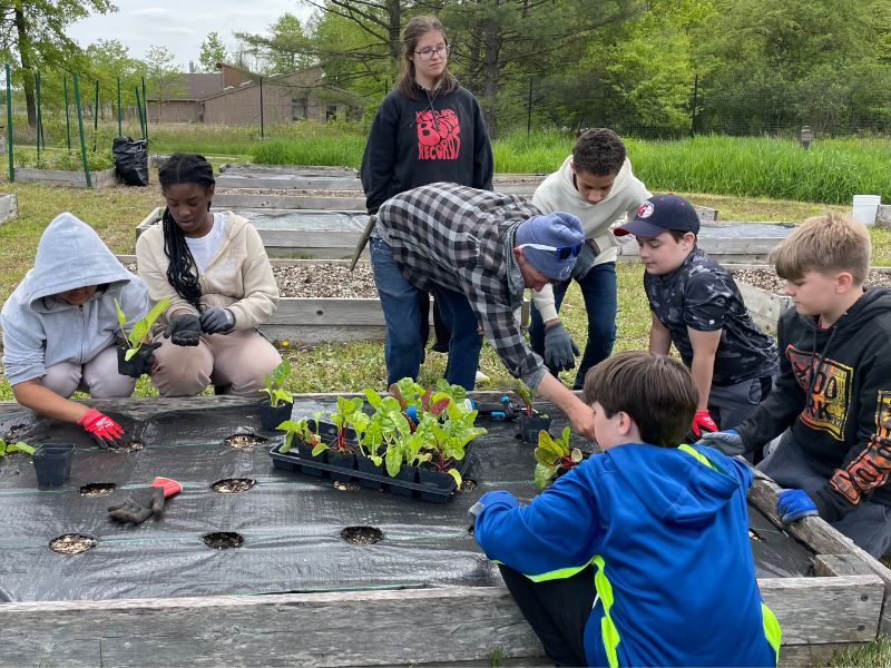 A photo of a group of students and a man planting leafy vegetables in an outdoor garden bed.