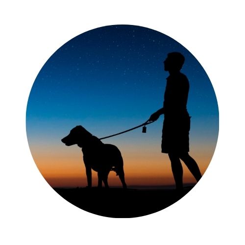 A circular photo of a silhouette of a person with a large dog on a leash near sunset. 