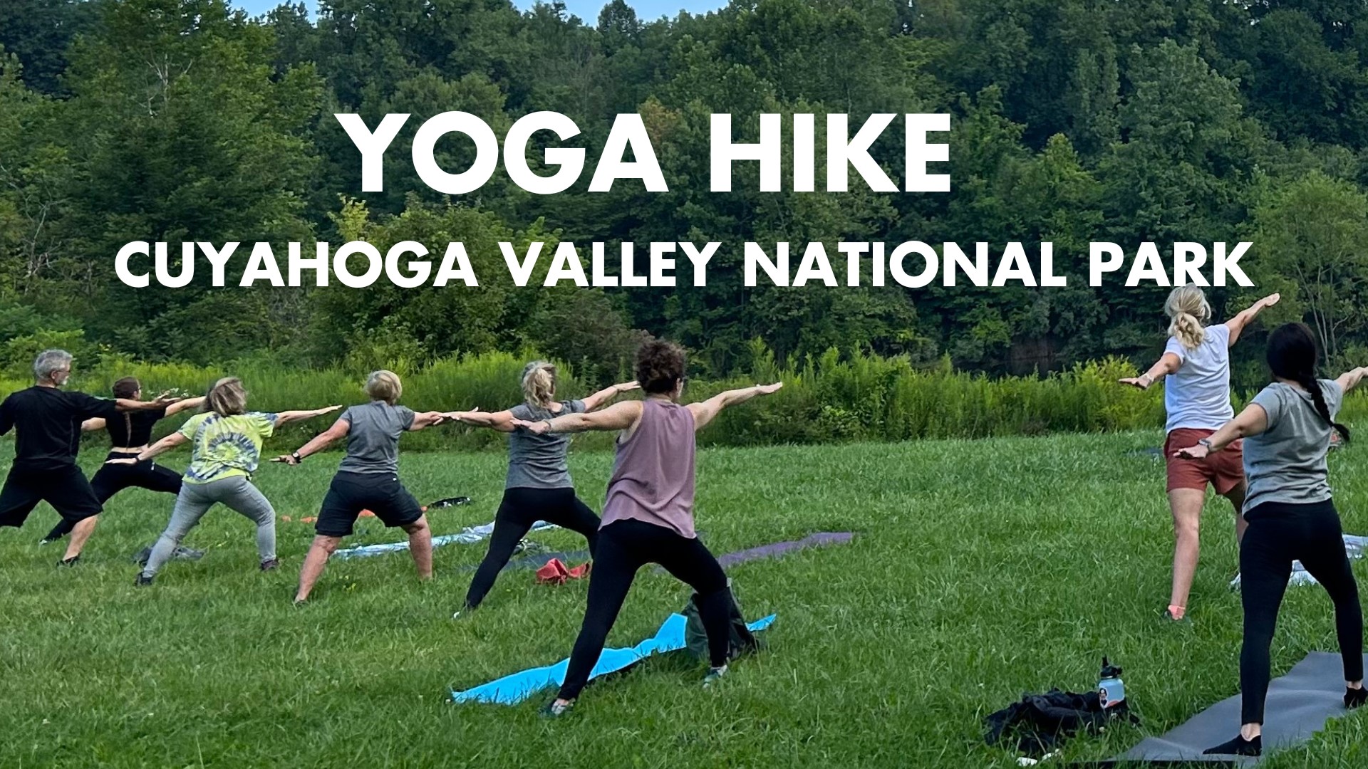 People in a field practicing yoga pose.